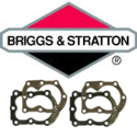 Picture for category Briggs & Stratton teste cilindro